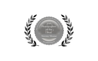 Hot off the Press: AIBP Photographer of the Year Award