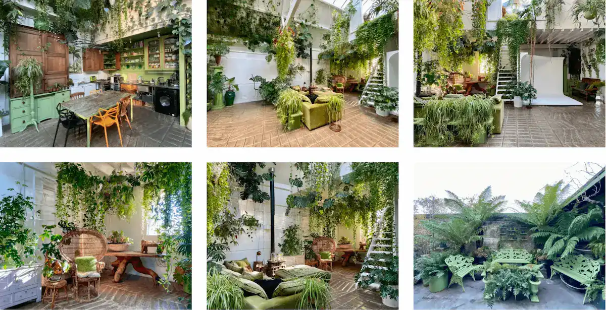 London boudoir studio with indoor garden and greenery and jungle vibes