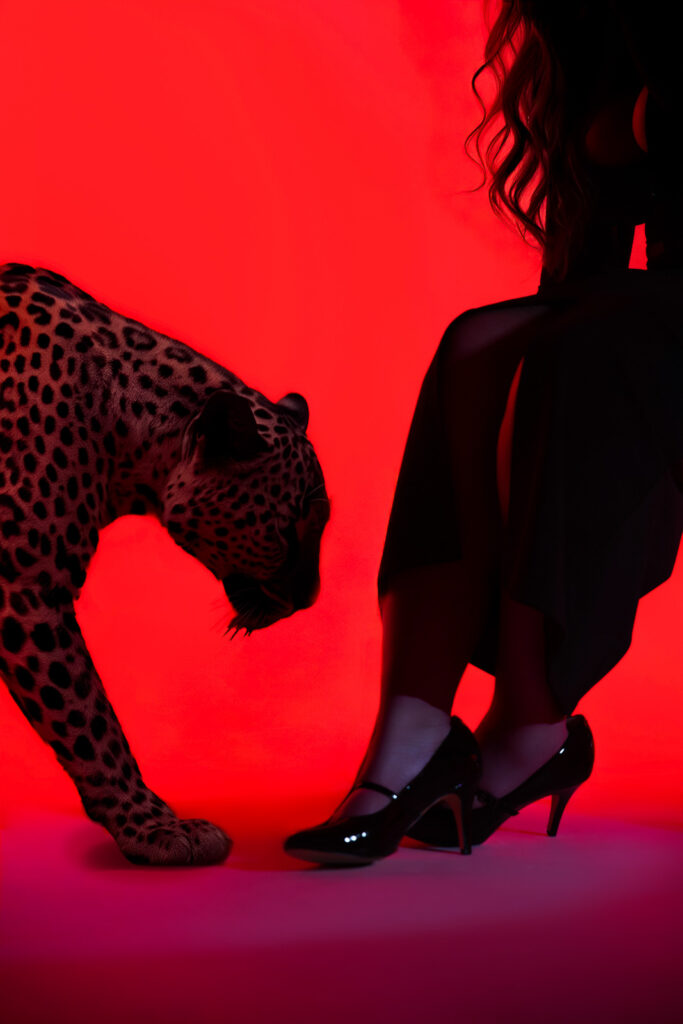 Provocative photoshoot of curvy woman wearing heels with a leopard, red lighting and red background, shot in London